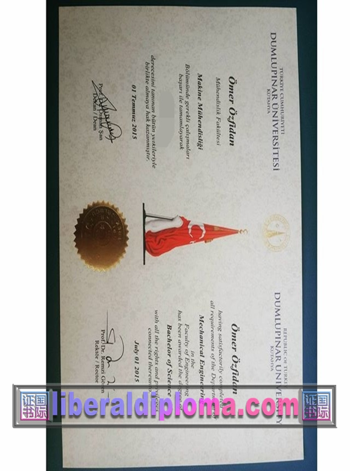 复刻土耳其杜姆卢珀纳尔大学文凭:详解申请与认证流程