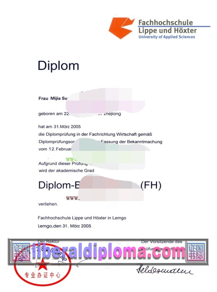 快速补办利珀-霍克斯特应用技术大学文凭：轻松解决学业需求