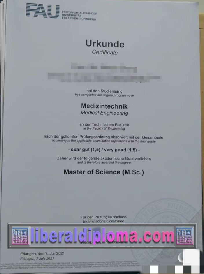 在线办理德国埃尔朗根-纽伦堡大学学位证：快速指南