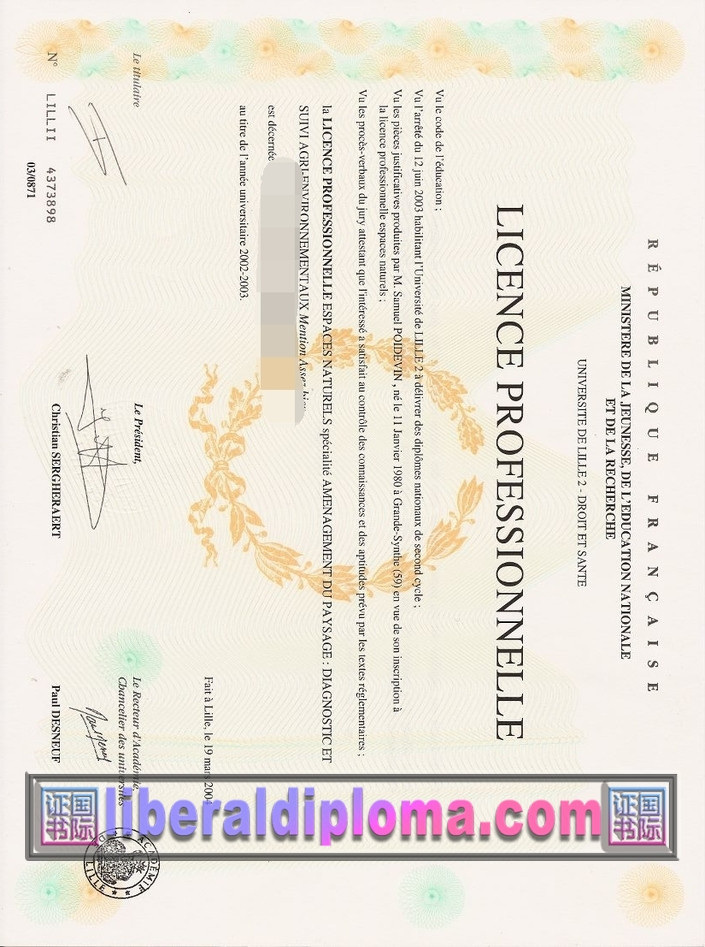 如何在线办理里尔第二大学文凭：轻松获取学位证书指南