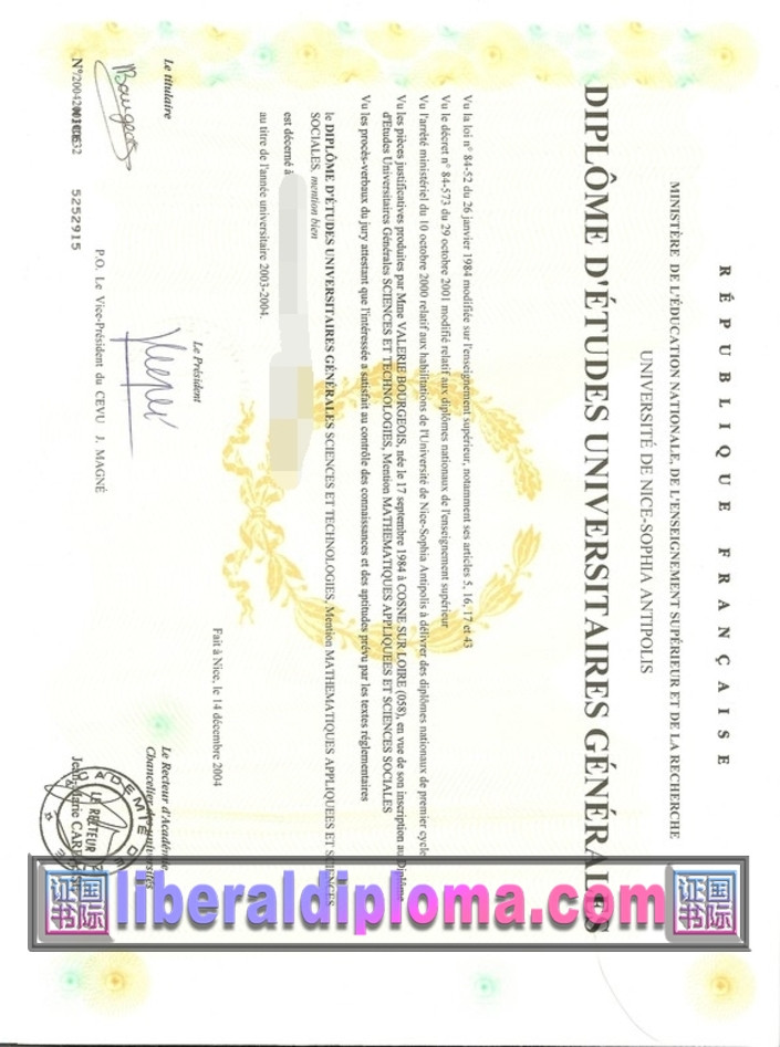 如何定制尼斯大学学位证：全面指南