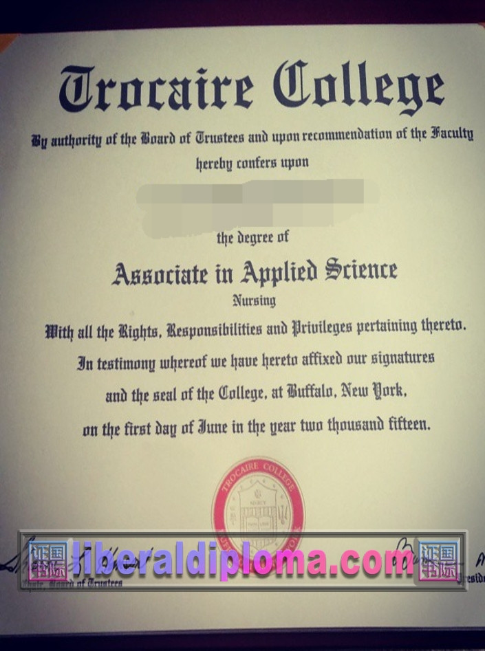 🎓【精仿特罗凯尔学院毕业证】：真假难辨的艺术与挑战